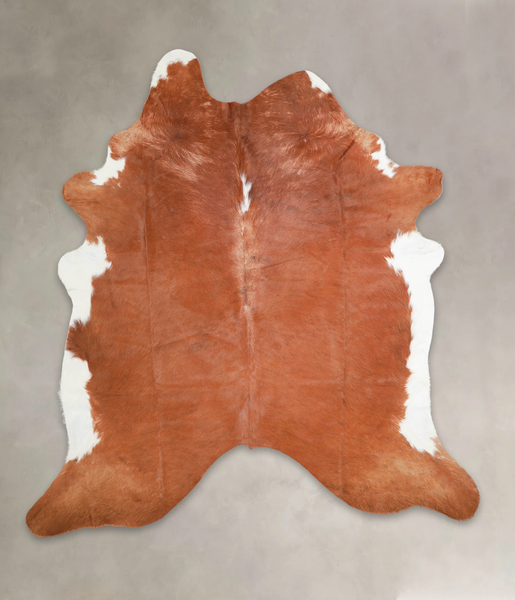 Brown and White Regular Cowhide Rug #A28888HUDSN