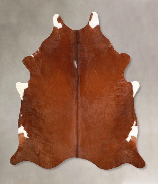 Brown and White Regular Cowhide Rug #A35262HUDSN