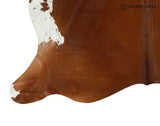 Brown and White Regular Cowhide Rug #15127